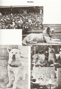 Hachiko